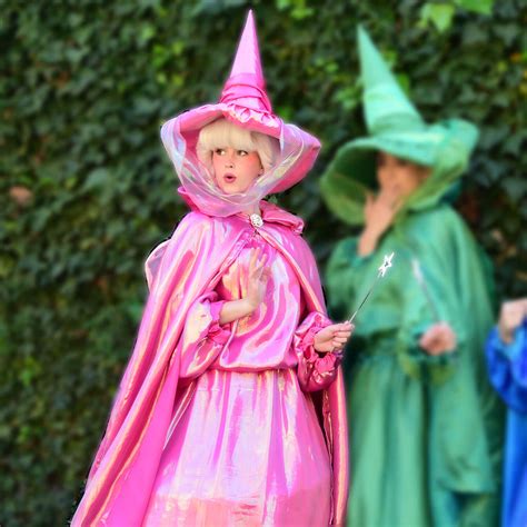 Sleeping Beauty Fairy Godmothers Costumes