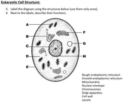 Biological Cell Structure 的图像结果