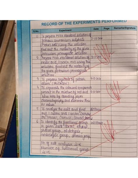 Image result for CBSE Class 12 Fine Arts Practical File