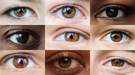 Brown Eye Color | 1-800 Contacts