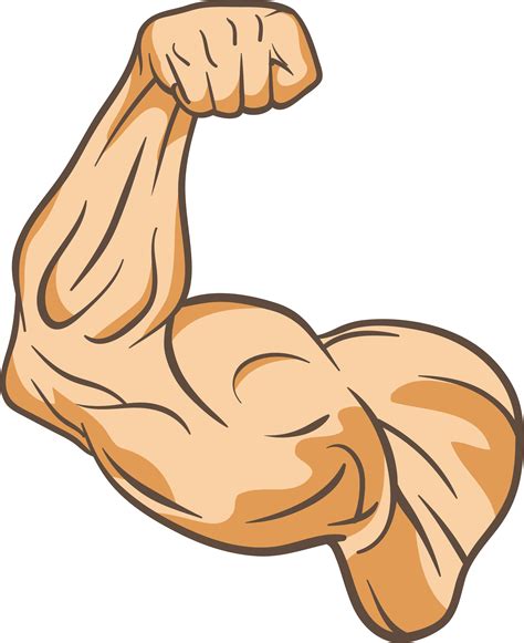Muscle Clipart Png at Billy Newby blog