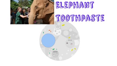 Elephant Toothpaste Reaction Explained 的图像结果