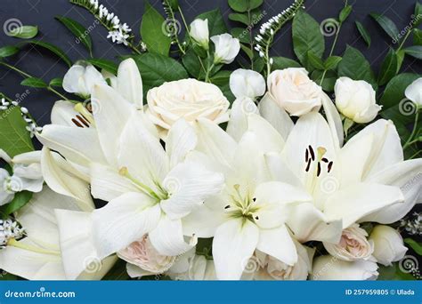 White Delicate Lily Flowers Composition, Condolence Flower Background ...
