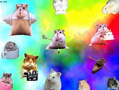Image result for Hamster Wallpaper