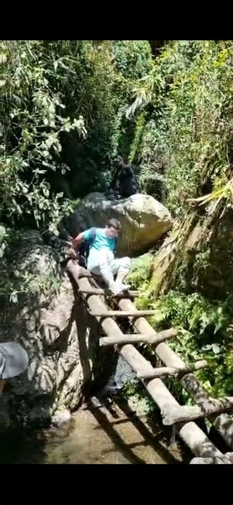 HAIL HIMALAYAS (Shoghi) - Specialty Resort Reviews, Photos, Rate ...