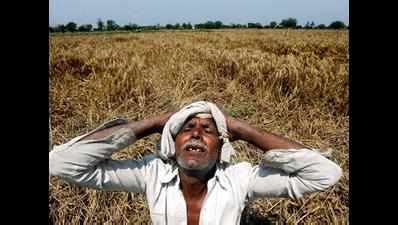 Father of 4 girls, Punjab farmer kills himself over damaged crop ...