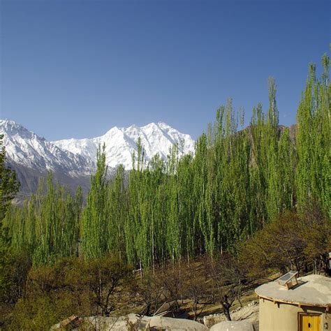 MOUNTAIN STORY RESORT HUNZA (Ali Abad) - Hotel Reviews, Photos, Rate ...