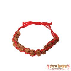 Ganesh rudraksha bracelet 14 beads – Shiv Kripa Rudraksha
