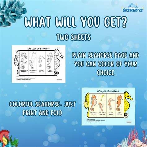 Sakuya Printable Foldable Seahorse with life cycle -Easy Craft Activit