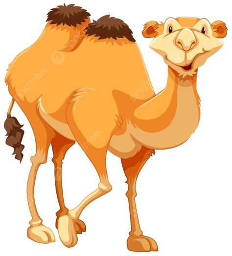 Camel Clipart Wild Background Vector, Camel Clipart, Background Clipart ...