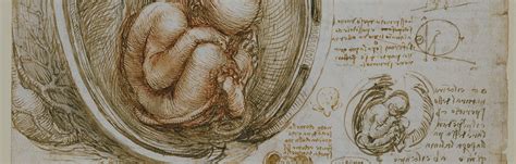 Woman Born Without Uterus Gives Birth in U.S. Medical Victory