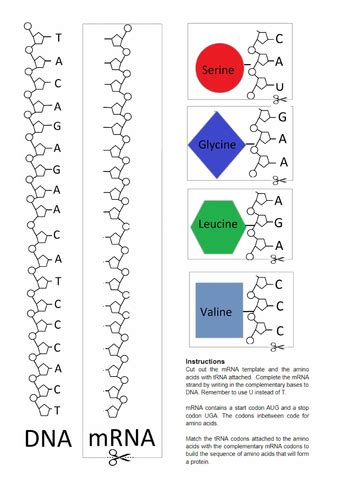Labels KeyShot 的图像结果