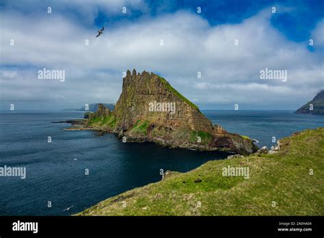 Image result for Example Code Using HTML Tag