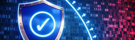 Image result for Database security Database Attack Prevention