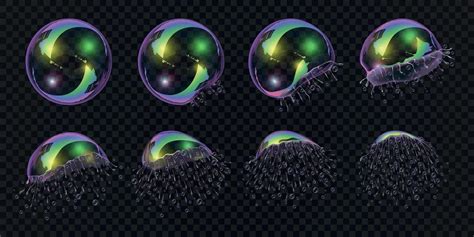 Image result for Vector Animation