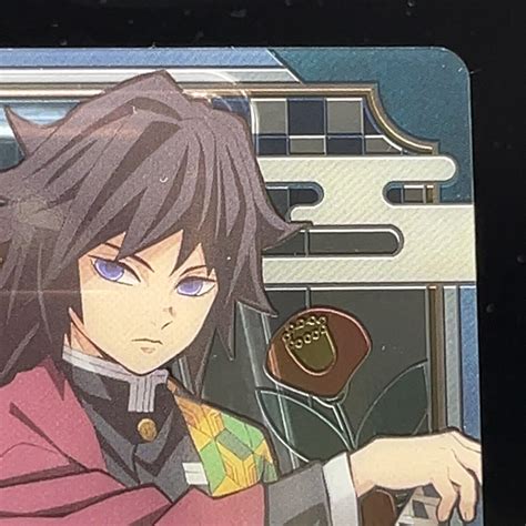 Giyu Tomiokka Demon Slayer Anime Kimetsu Yaiba India | Ubuy