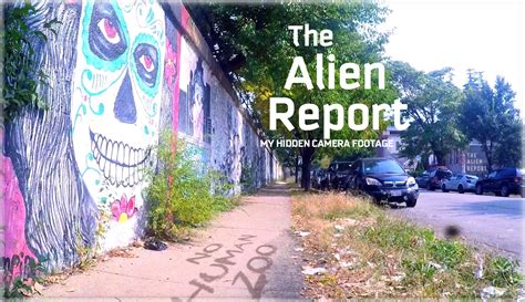 Image result for Alien Summary