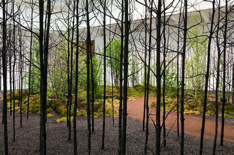 Invocation For Hope - Superflux