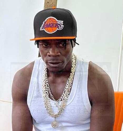 Rezultat imagine pentru Alien Skin New Song 2025 Rule