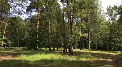 JETPAK HOSTEL (Berlin) - Hostel Reviews & Photos - Tripadvisor