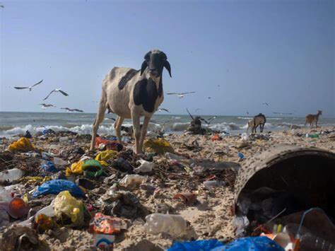 Using enzymes to biodegrade plastics | Meer