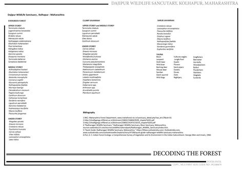 Decoding the forest | CEPT - Portfolio