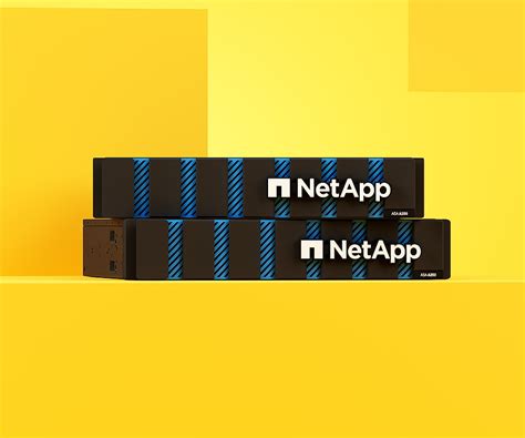 Image result for NetApp Support