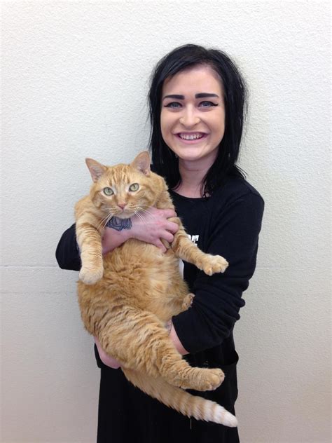 Missouri Valley Vet - Veterinarian in Bismarck, ND US :: Receptionists