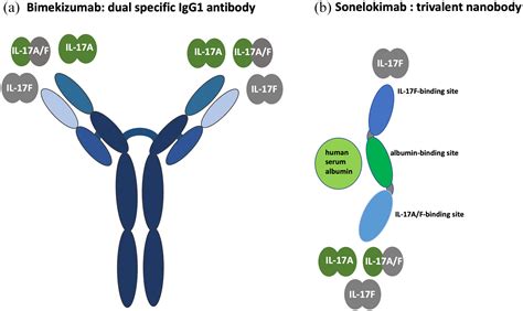 Dual inhibition of IL-17A and IL-17F in psoriatic disease - Helena ...