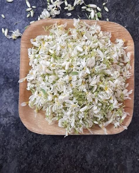 Saara HERBAL FRESH Moringa Flower Dried, Murungai Poo, Drumstick Flower ...