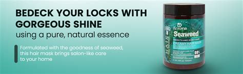 FEZONA Seaweed Hair Mask 1000 ml : Amazon.in: Beauty