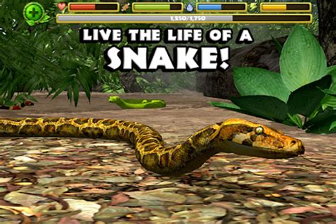 Image result for How to Play Snake Simulator