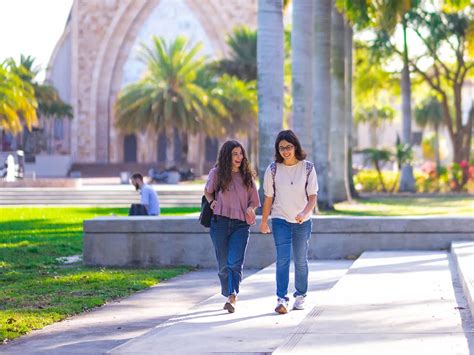 Official Ave Maria University Website | Ave Maria University