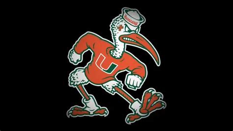 University Of Miami Merch SEBASTIAN THE IBIS Mascot Bighead