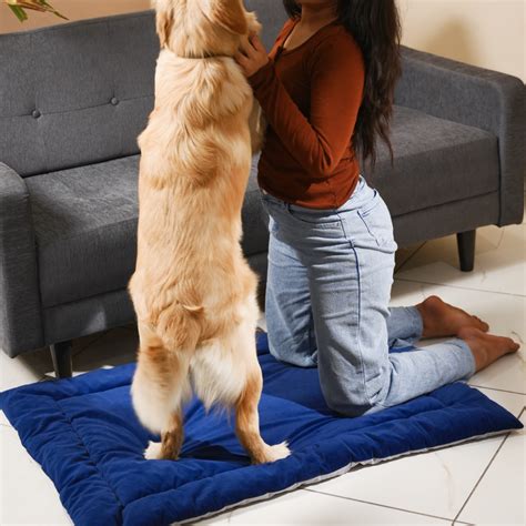 Summer Bed | Barks & Wags | India