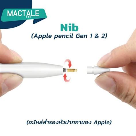 [ Nib Apple Pencil ] อะไหล่ หัวปากกา Apple pencil รุ่น 1 - 2 สีขาว ...