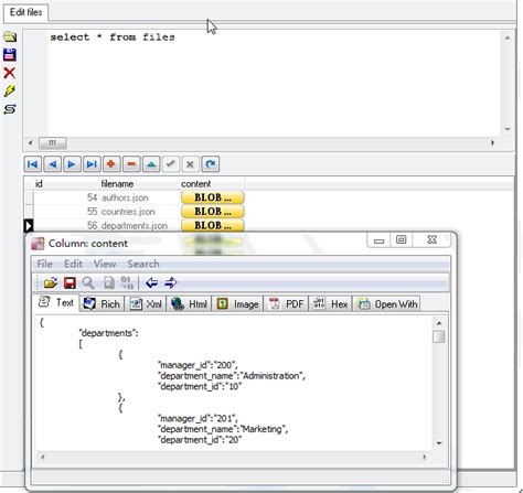 PostgreSQL Text to JSON 的图像结果
