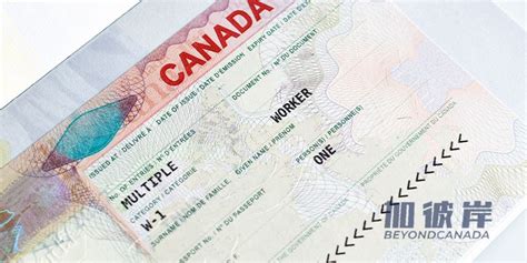 加拿大签证攻略！_材料