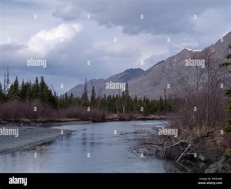 Escape To Wilderness: Your Guide To Eagle River Campground In Chugach ...