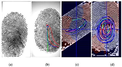 Entropy-Based Clustering Algorithm for Fingerprint Singular Point Detection