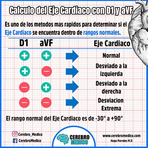 Calculando el Eje Cardíaco: Guía Esencial | TODO CALCULADORAS