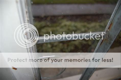 Glass Removal Tutorial 的图像结果