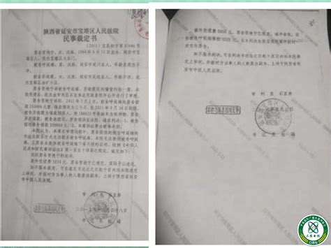 延安：一女子担保赌债成被告 法院判决遭质疑_网友爆料_三农电视台