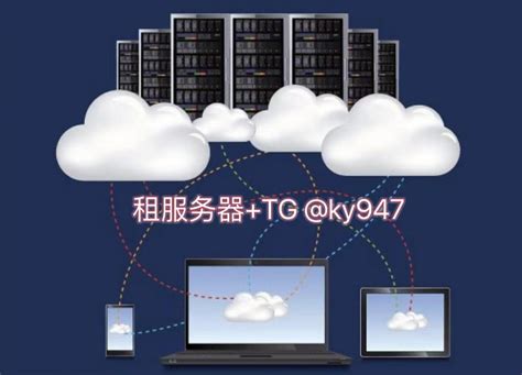 做站群SEO推广对站群服务器要求有哪些_易盾云-服务器租用-服务器托管-云主机-香港美国服务器租用十年的云数据服务商