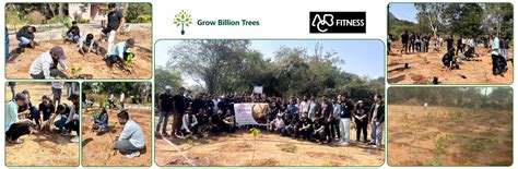 Fit for the Future: ABC Fitness Solutions’ Urban Forest Drive – Grow ...