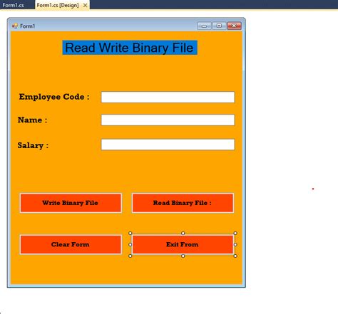 Image result for Source Code Binary File