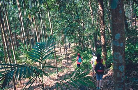 Unveiling Meghalaya's Hidden Gems: 10 Offbeat Places to Explore