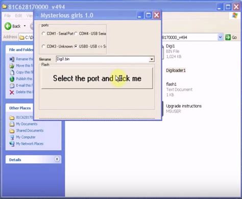 Digiprog Software 的图像结果