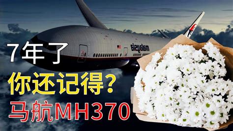 马航MH370失踪之谜，消失七年的马航370究竟发生了什么？？-R神秘事件调查-R神秘事件调查-哔哩哔哩视频