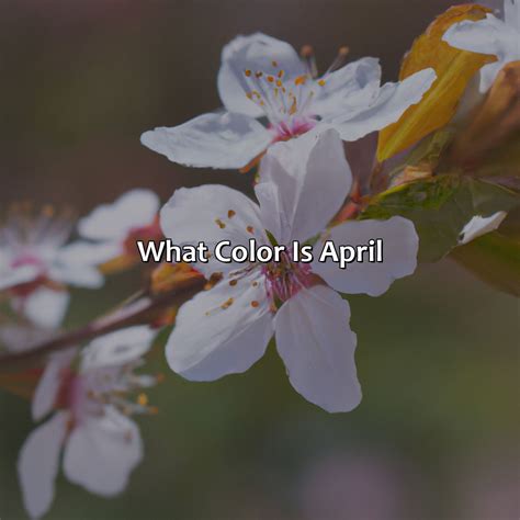 What Color Does Red And Black Make - colorscombo.com